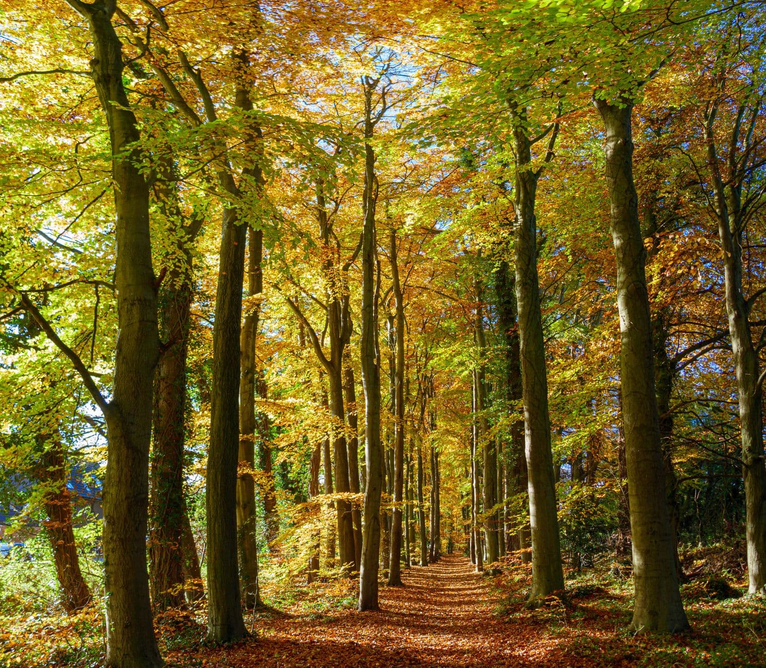 Basingstoke