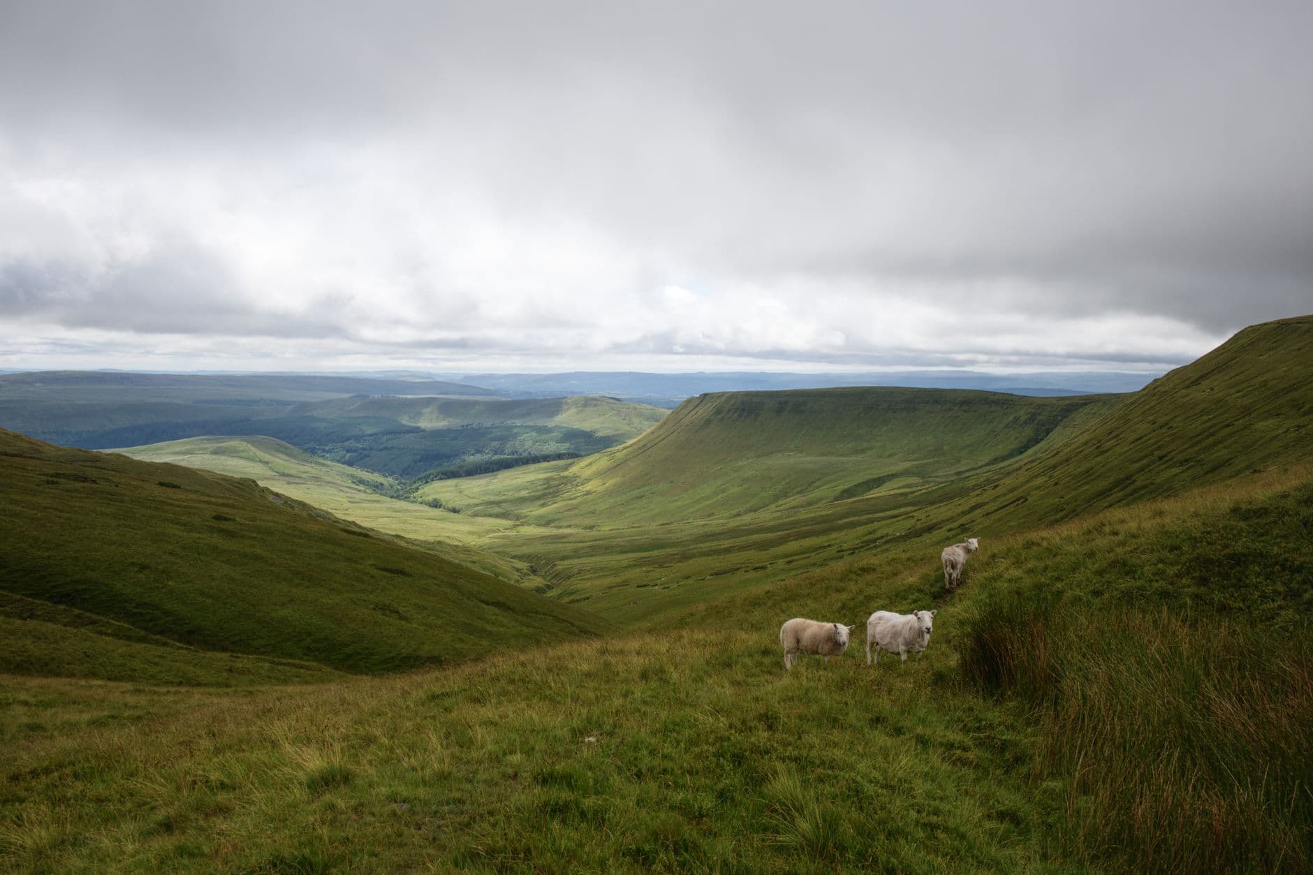 Brecon