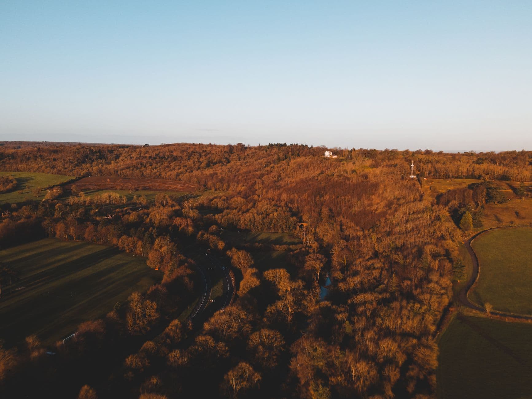 Dorking