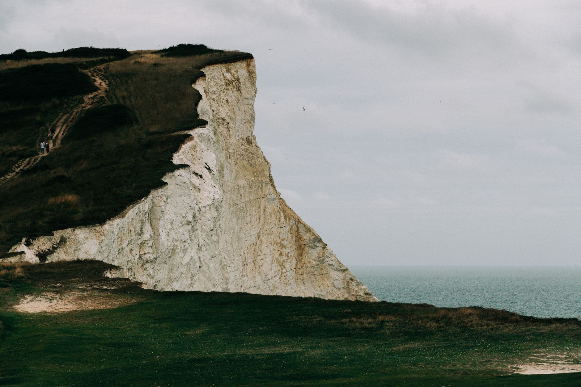 Dover