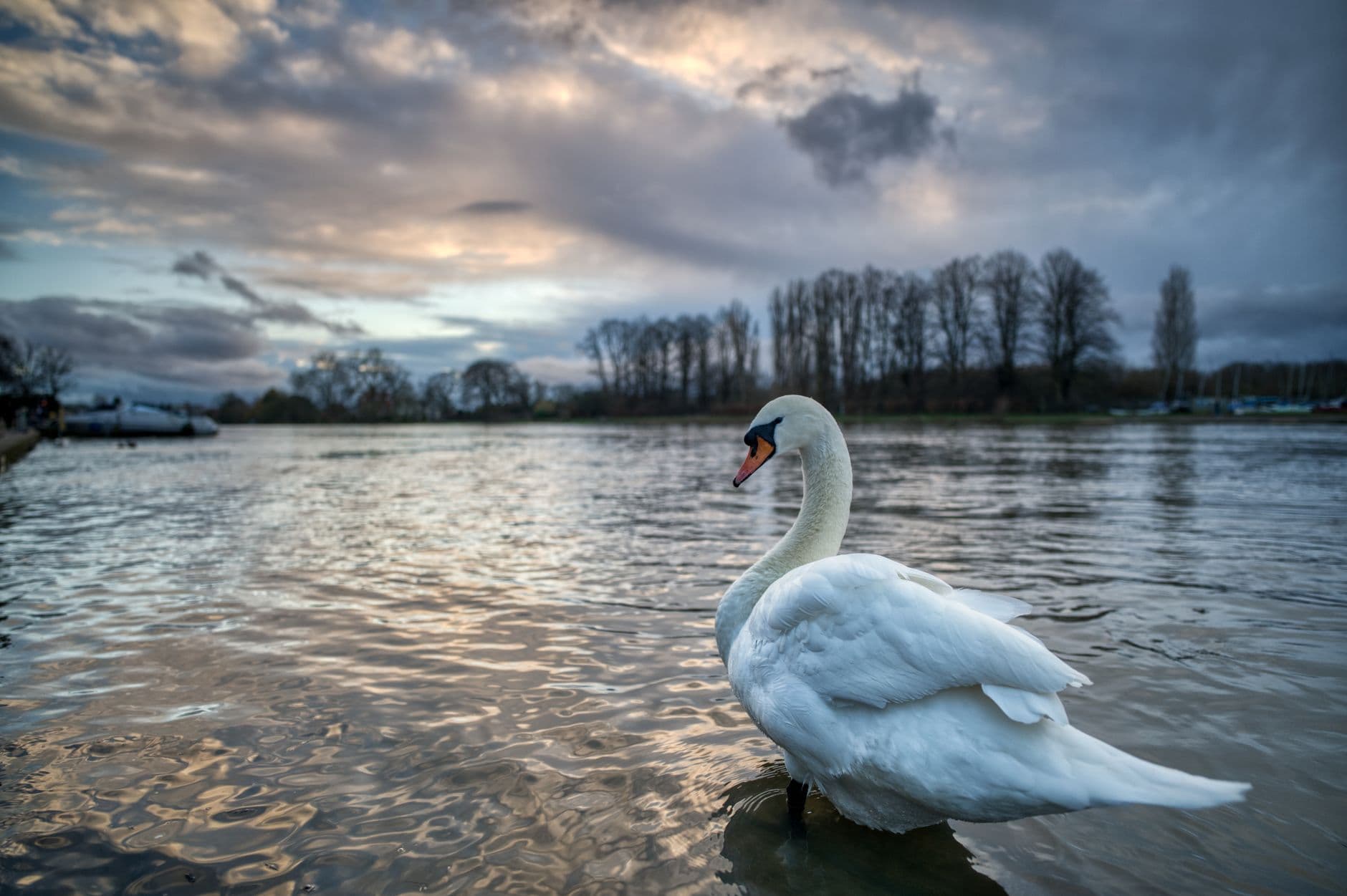 Kingston upon Thames