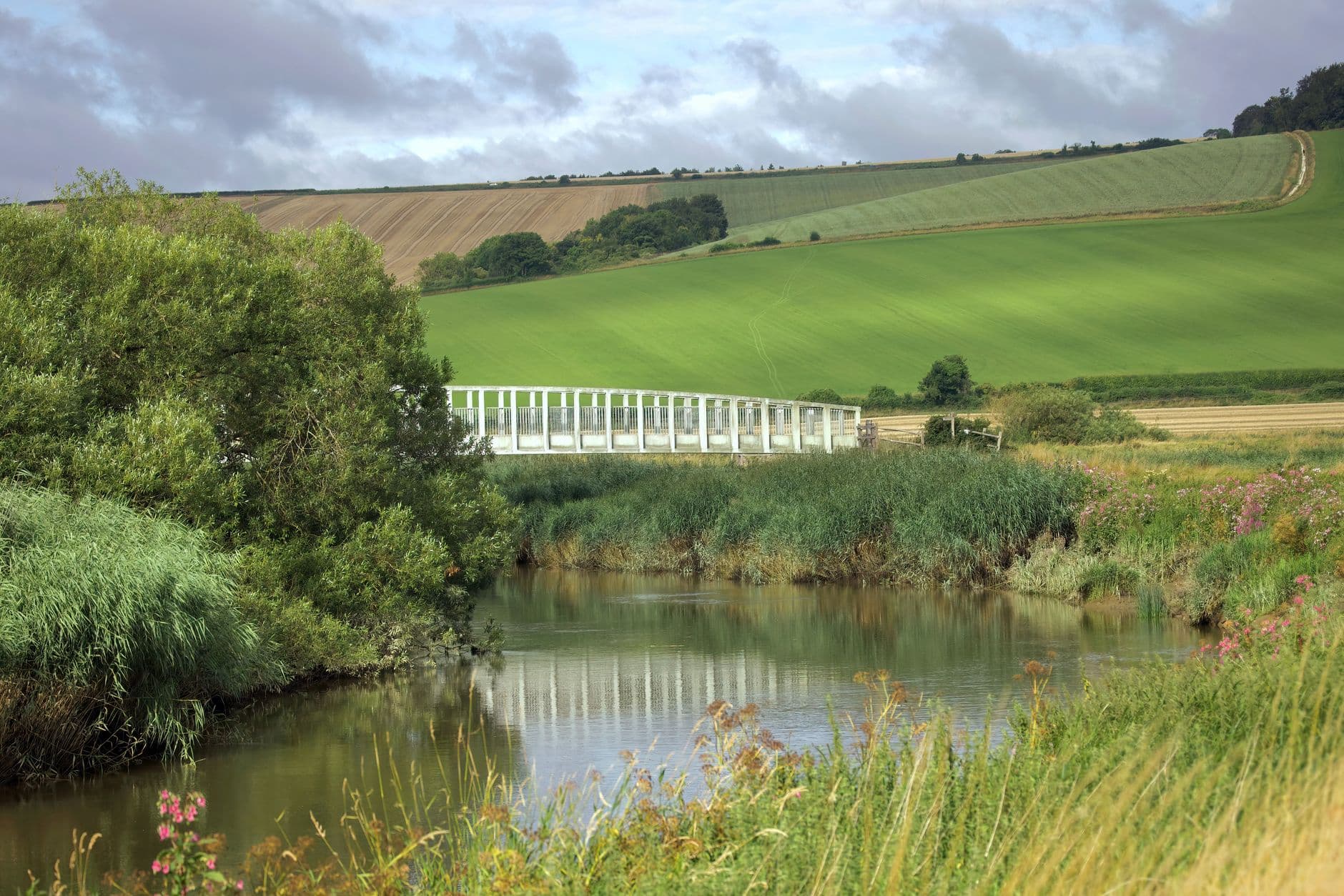 Lewes
