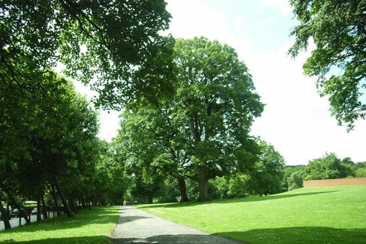 Potternewton Park