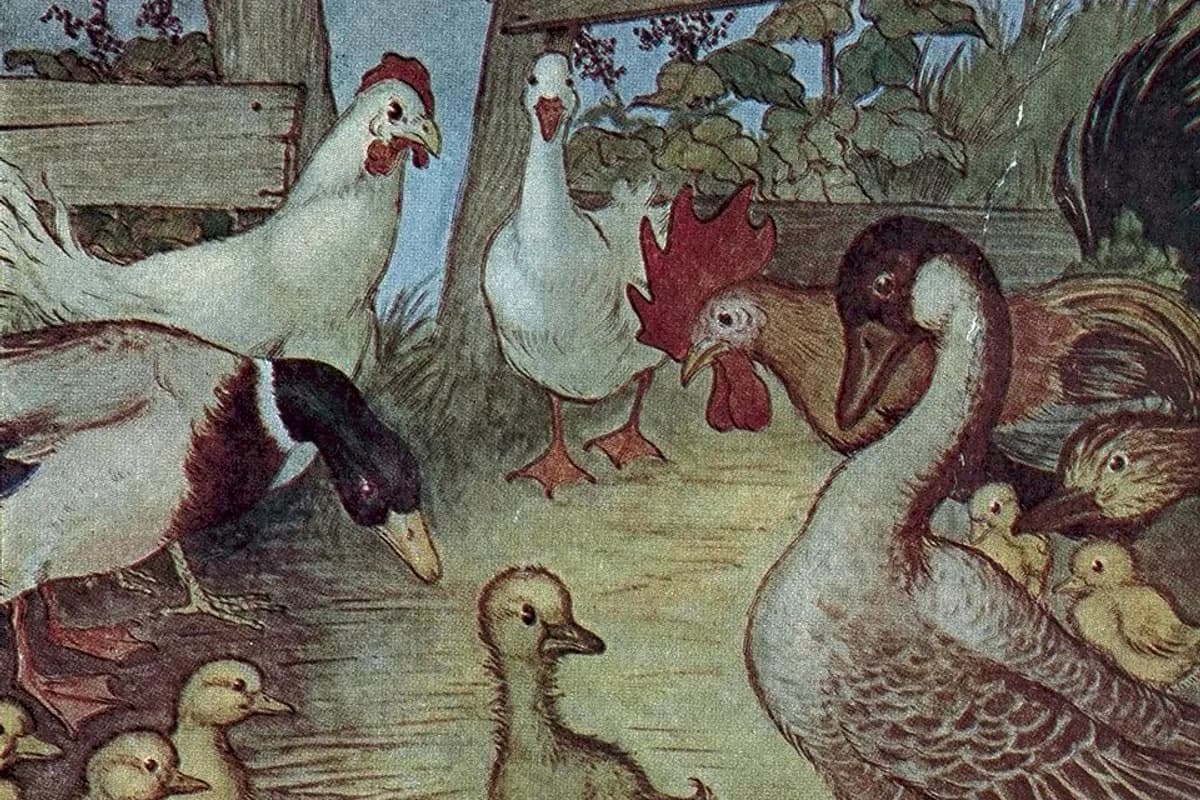 The Ugly Duckling