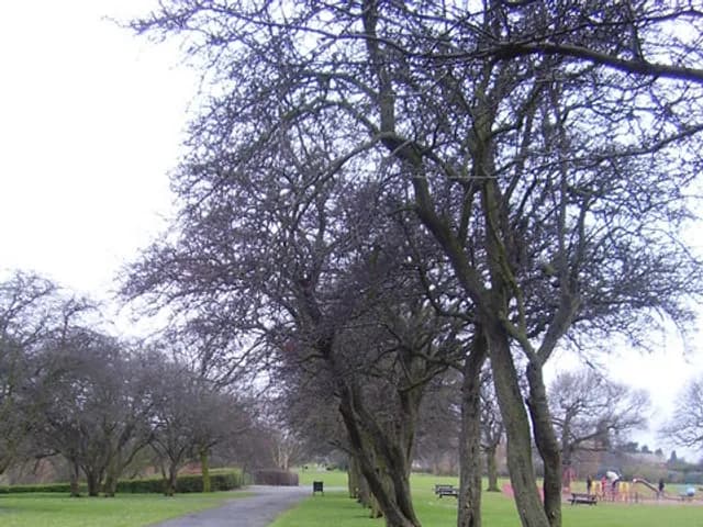 Sandall Park
