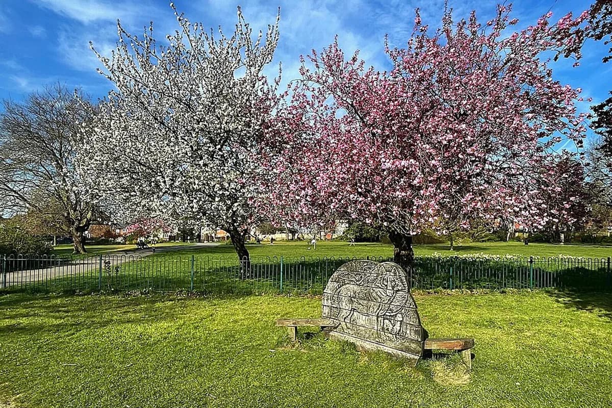 Concord Park