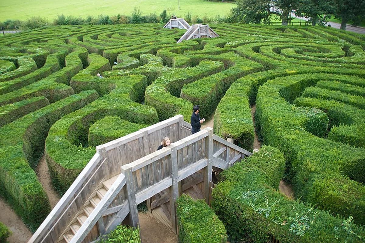 Maze