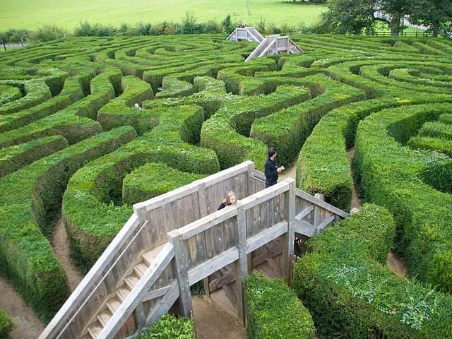 Maze