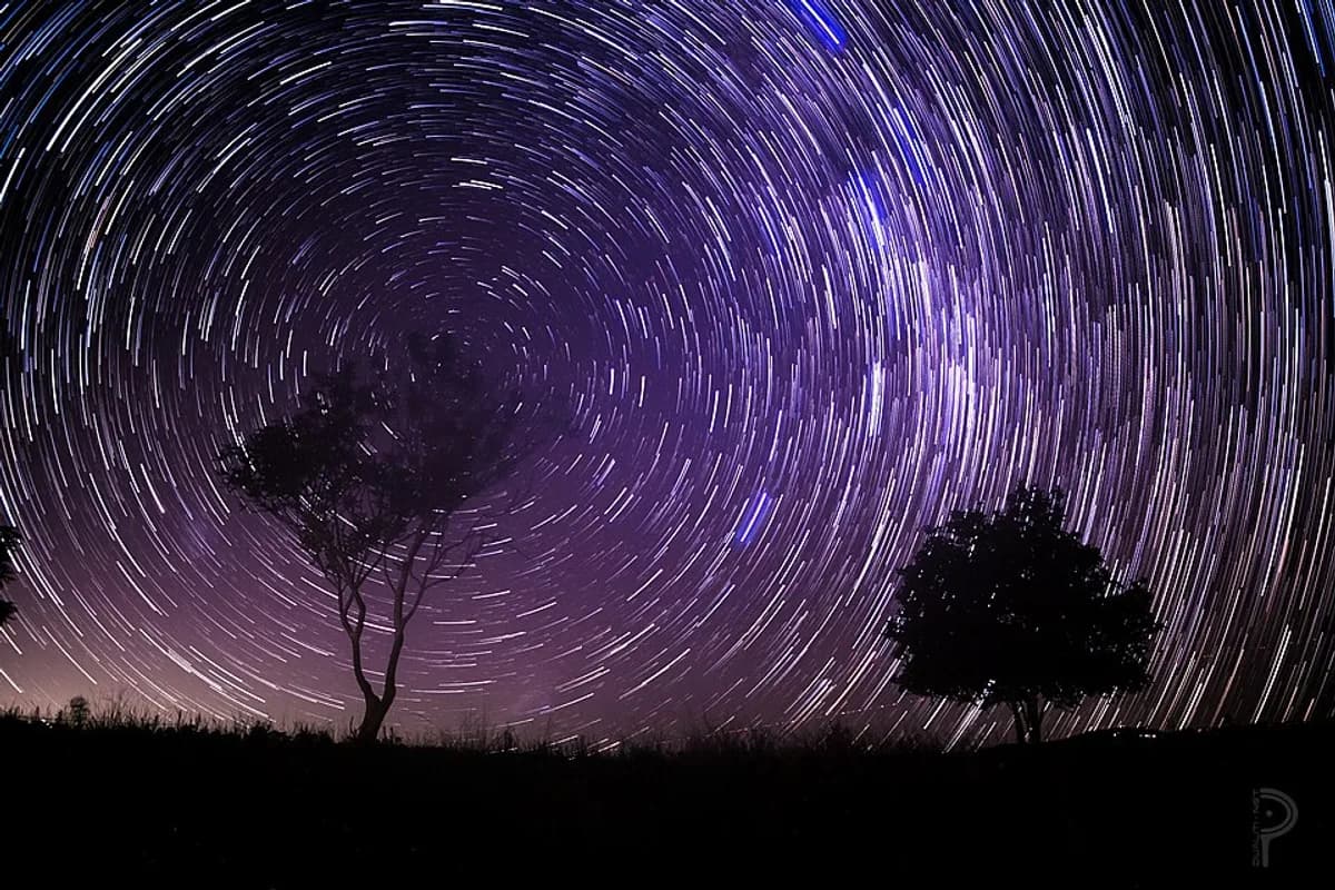 Cosmos