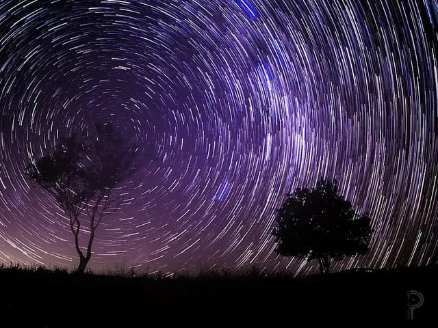 Cosmos