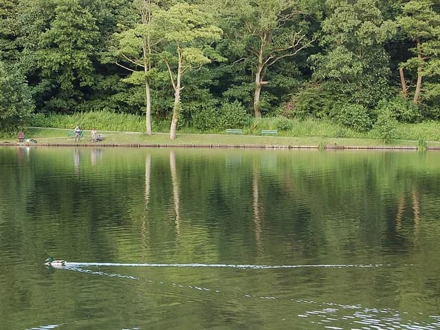 Yarrow Valley Country Park