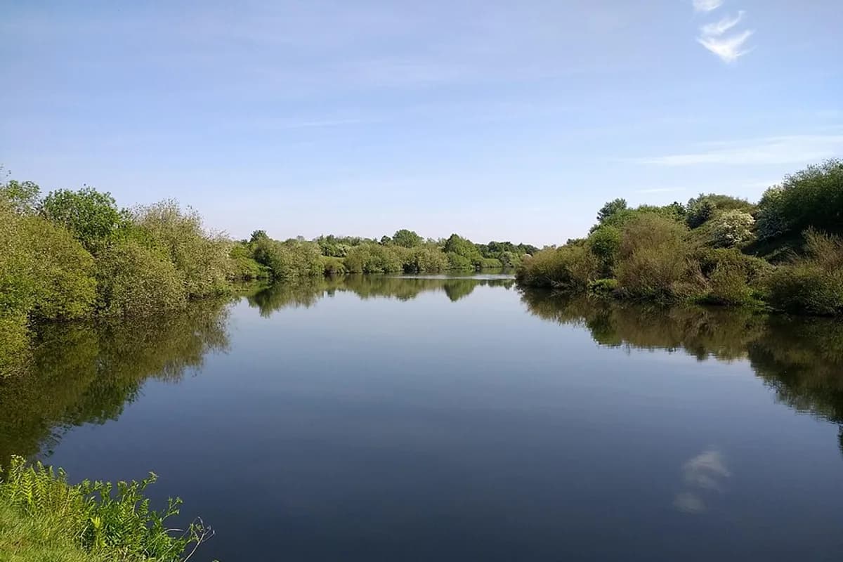 Paddington Meadows