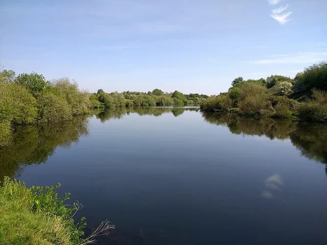 Paddington Meadows