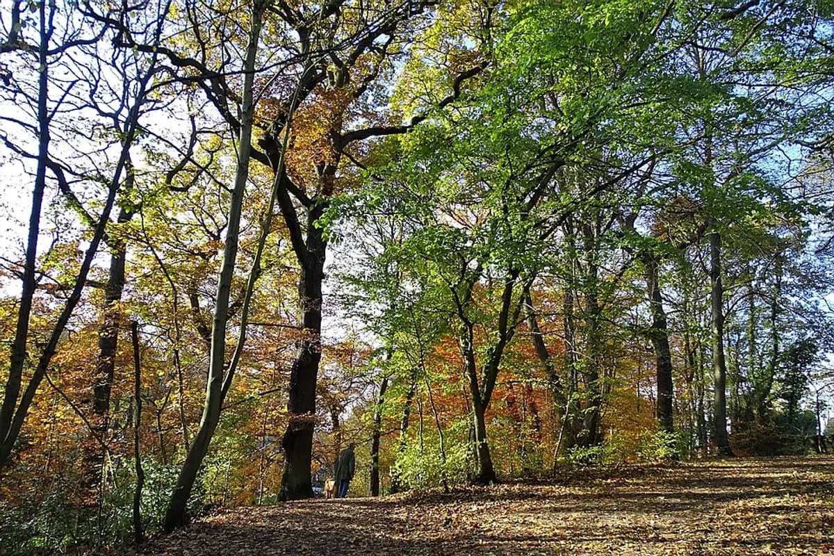 Endcliffe Park