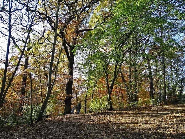 Endcliffe Park