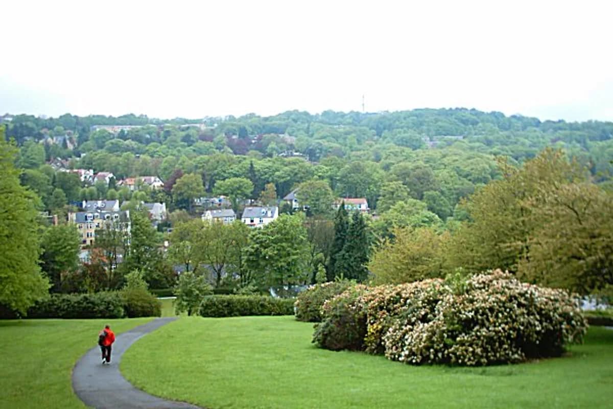 Bingham Park