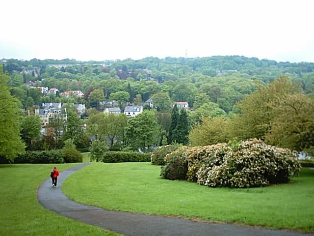 Bingham Park