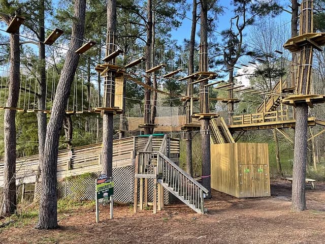 Go Ape