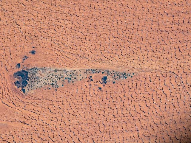 Oasis