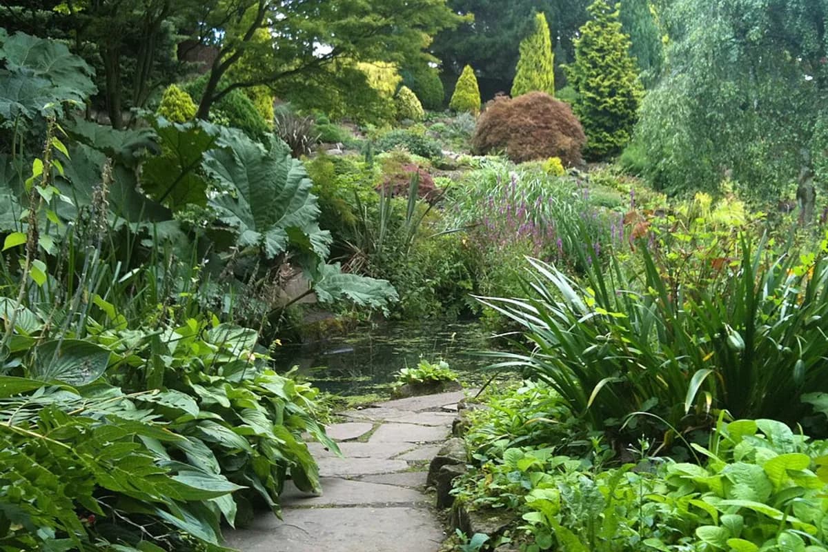 Fletcher Moss Botanical Garden