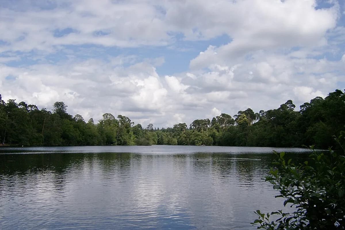 Black Park