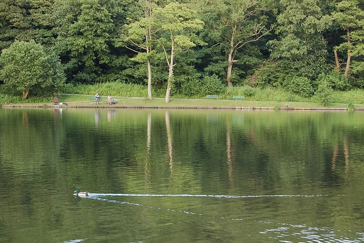 Yarrow Valley Country Park