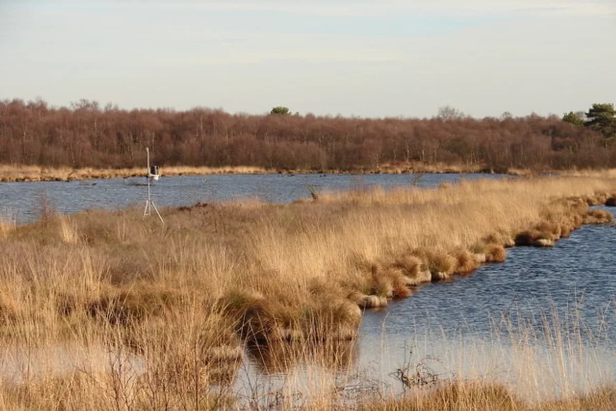 Hatfield Moors