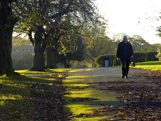 Armley Park
