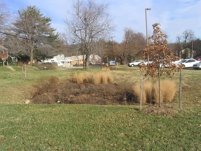 Rain garden