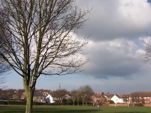 The Puddydale