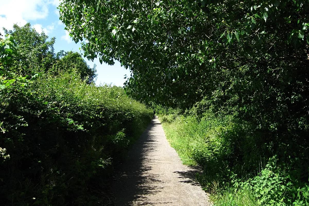 Wirral Country Park